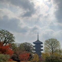 12月　東寺